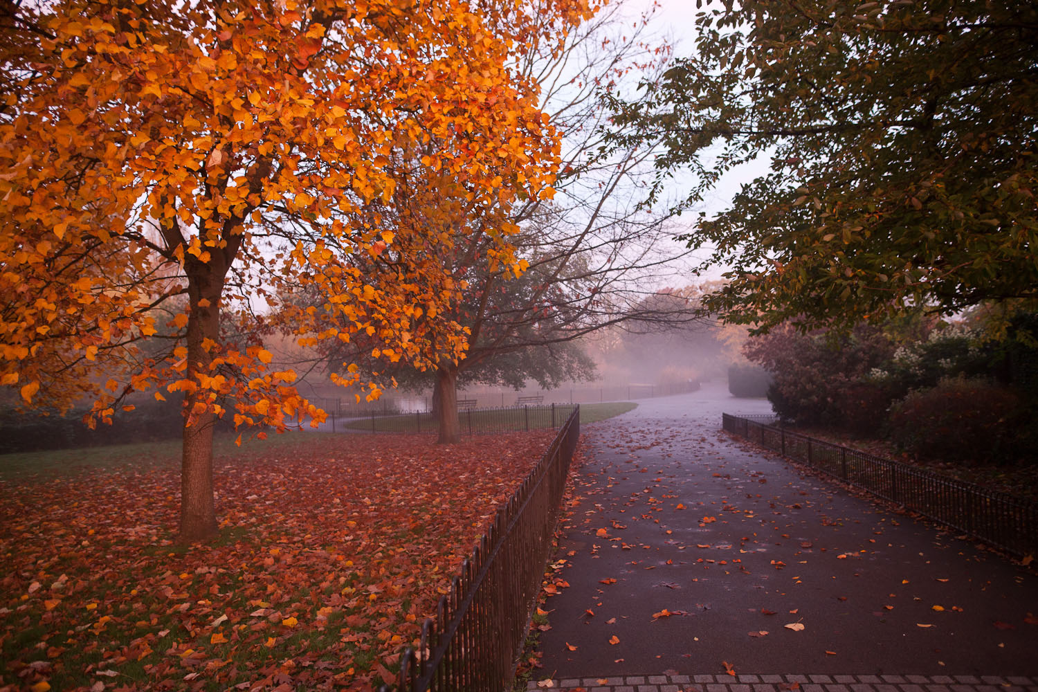 brockwell park on an early autumnal morning